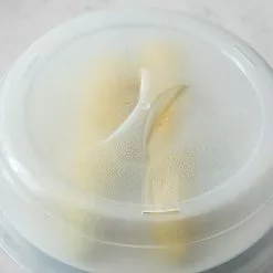 Food Network™ Microwave Splatter Cover -Food Network Shop unnamed file 597